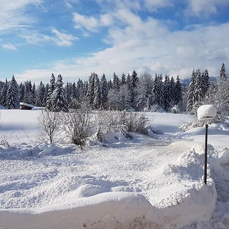 Chalet An Der Lofer Reit im Winkl Exterior foto